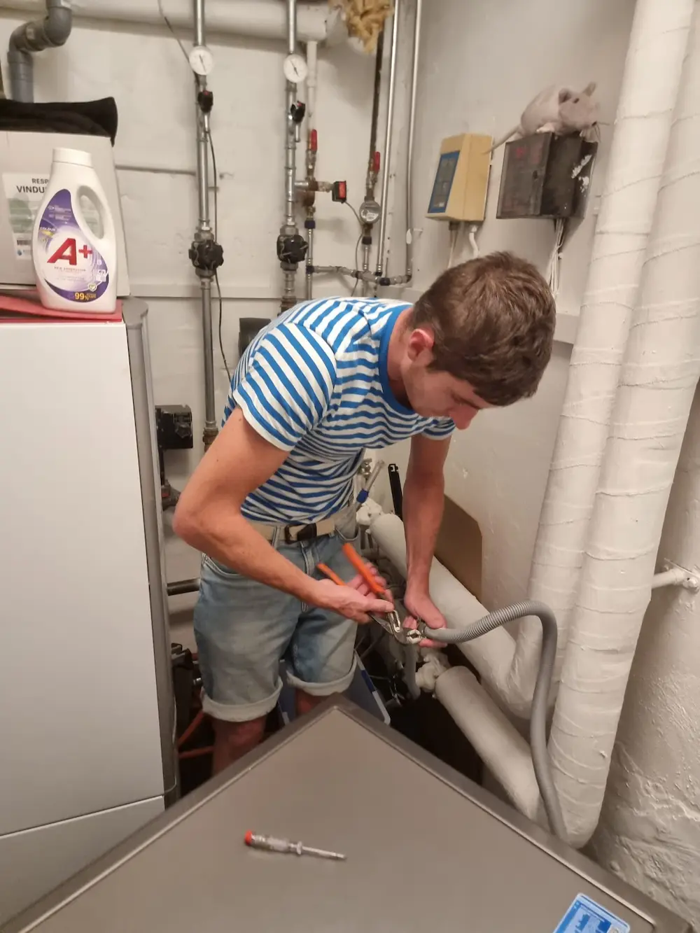 Plumbing-2023.webp